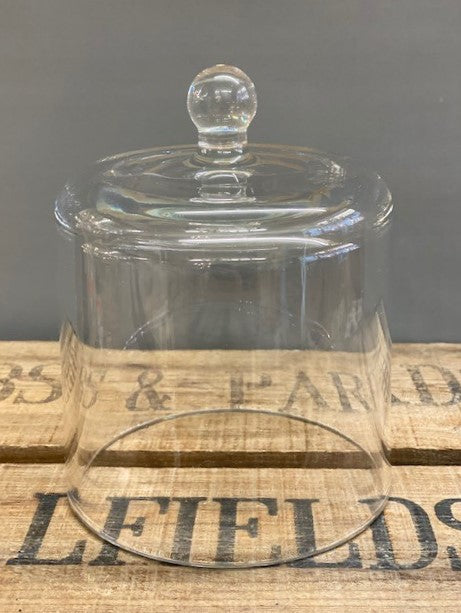 Clear Glass Bell Dome