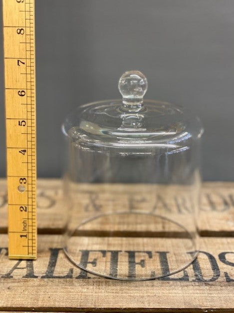 Clear Glass Bell Dome